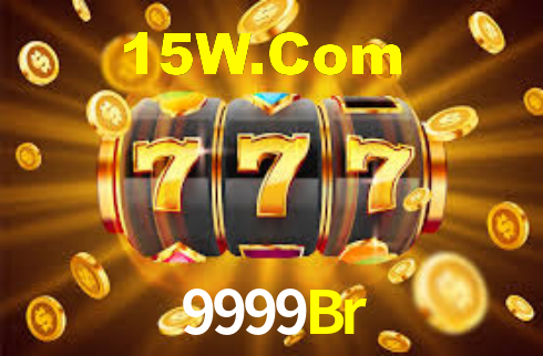 Segurança e privacidade no APP 9999Br